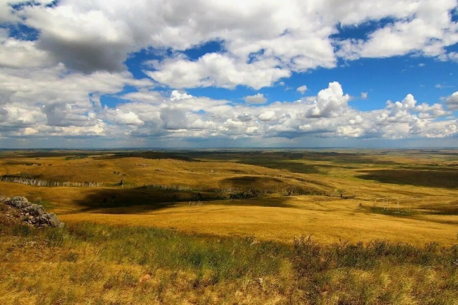 Я родом зі степу