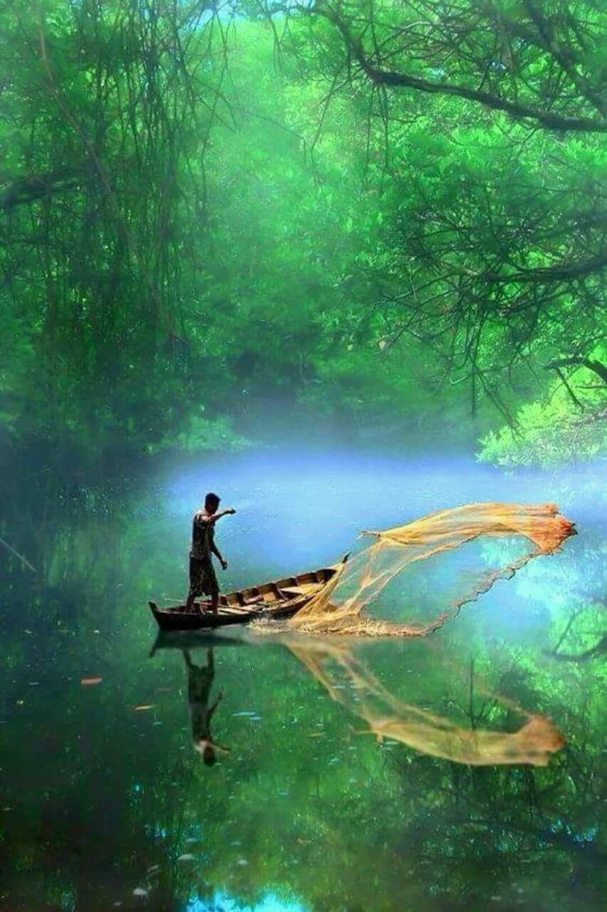 Walk slow dear life,