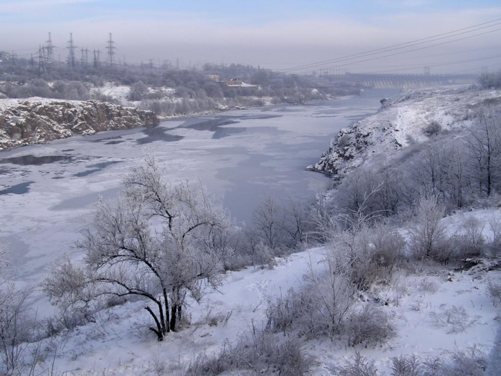 Досвіта