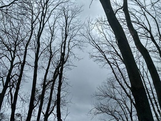 Коли закінчиться війна