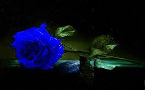 The blue that fades to black