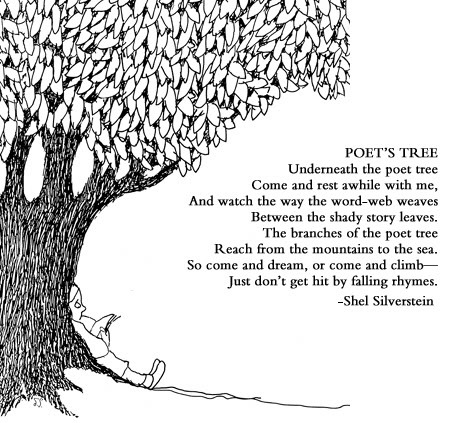 The poet tree 🌲 