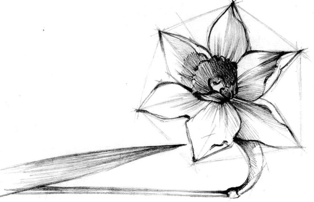  Virus Narcissus