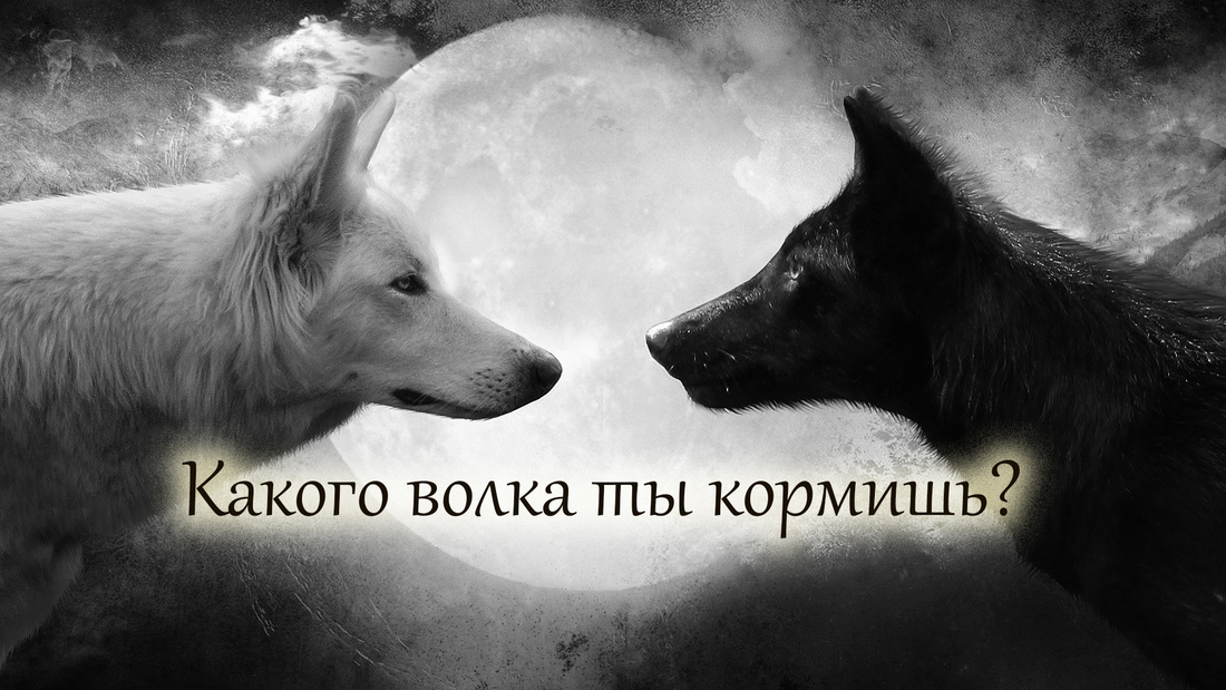 Какого волка ты кормишь?