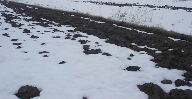 Конон-городник (18 березня)