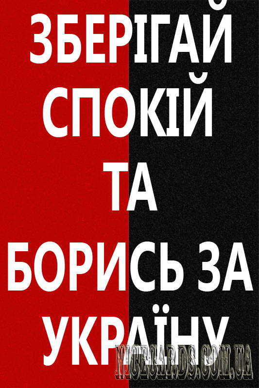 	Борись і не здавайся