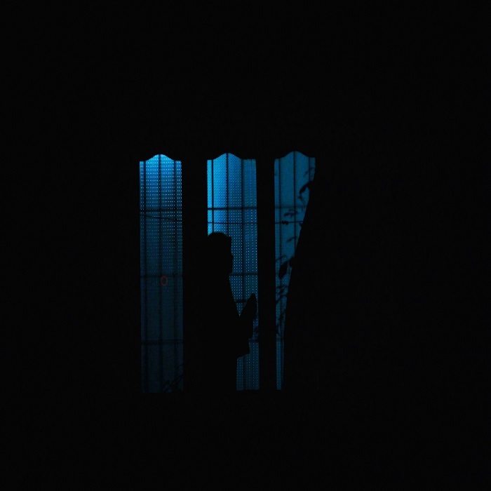 "THE VISIT"