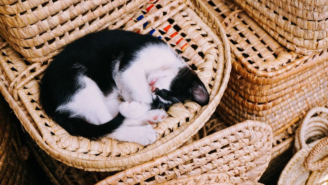 "THE SLEEPING SATELLITE"