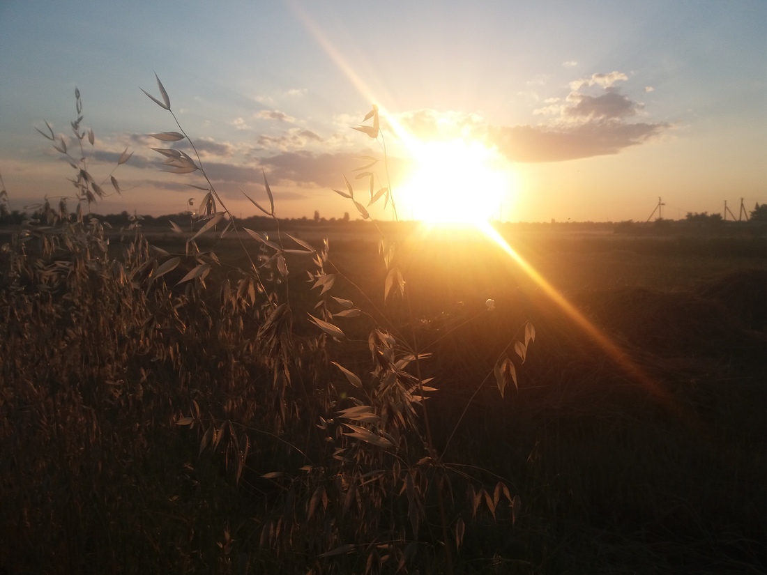 Віра