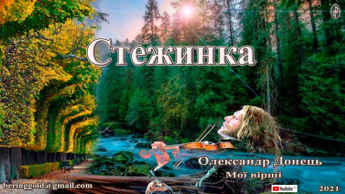 Стежинка.