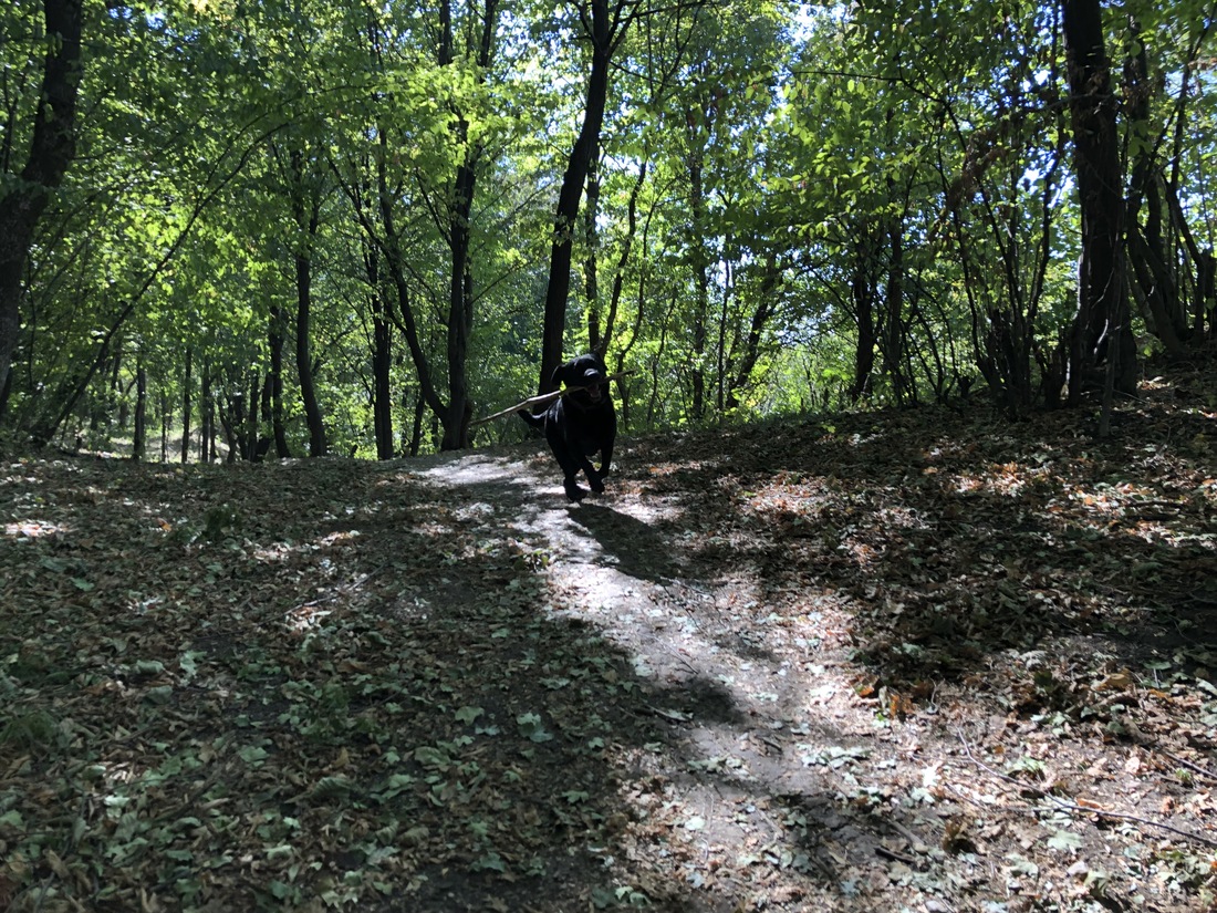 знову про осінь