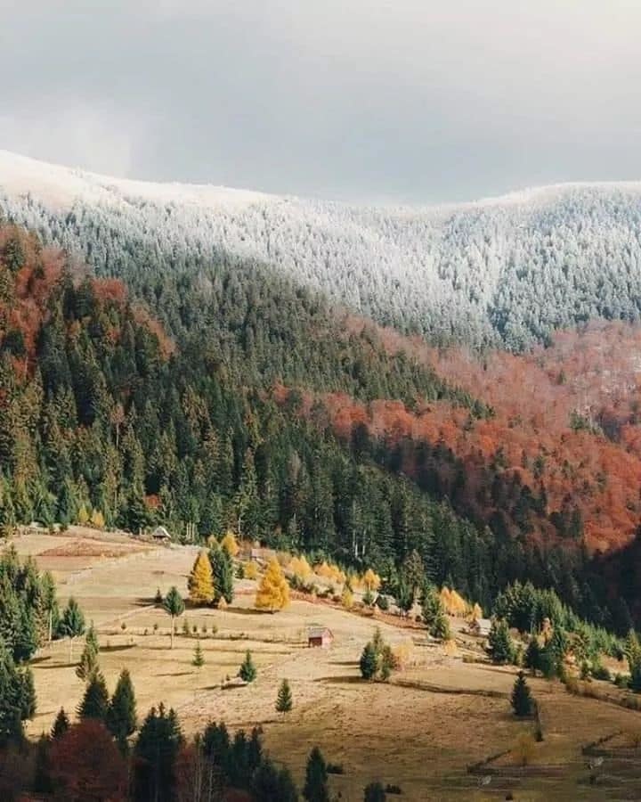 ЗУСТРІЧ І ПРОЩАННЯ СЕСТЕР