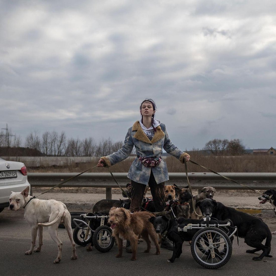 Буча, Ірпінь
