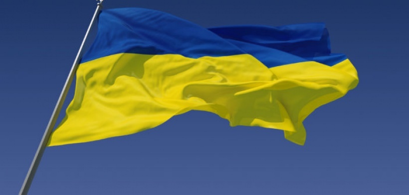 Сонет 24
