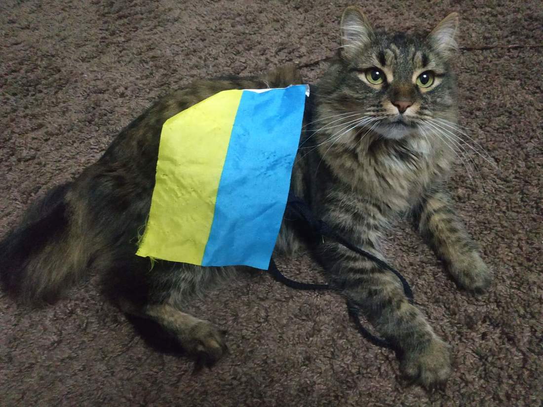 Боліло серце