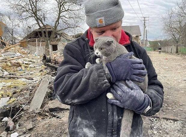 Бойня