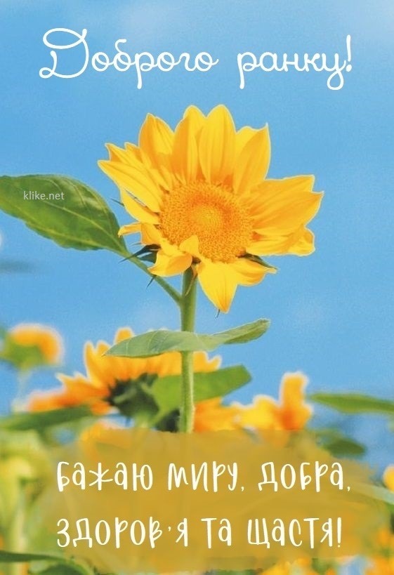Раніше/До 24