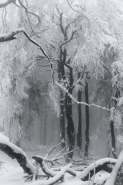 демоны вьюг