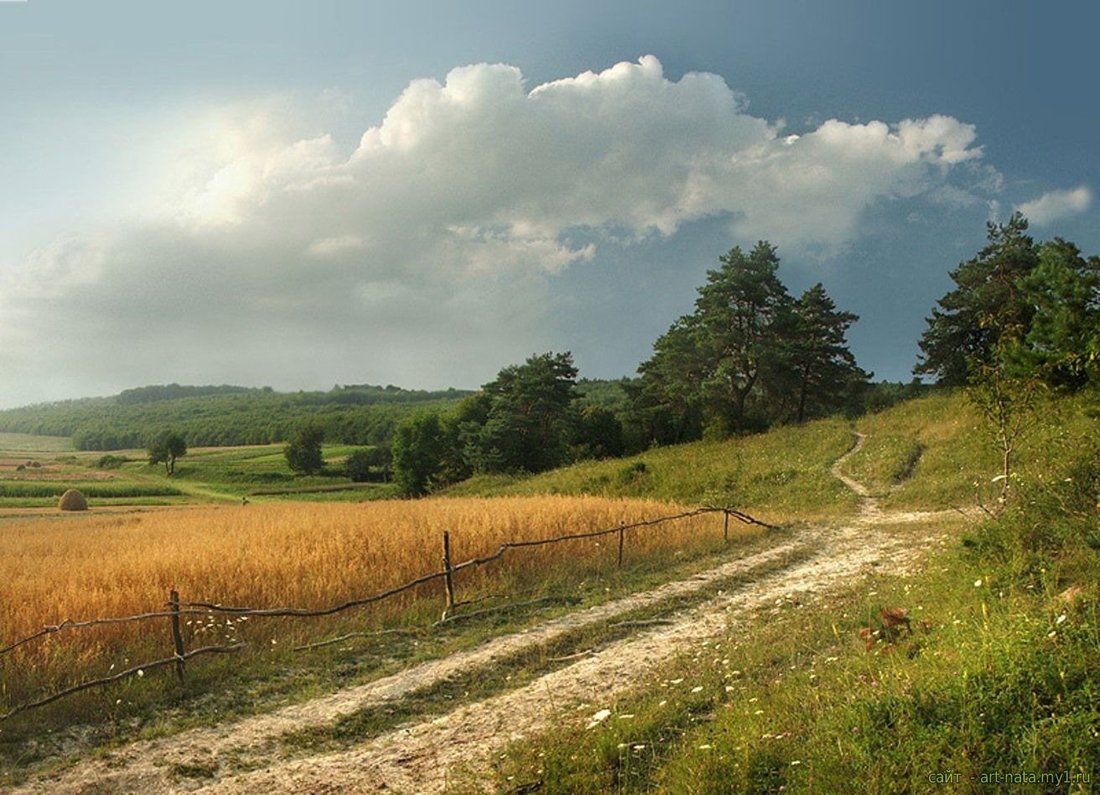 ВІНЕЦЬ ЛІТА (Місяць Серпень)