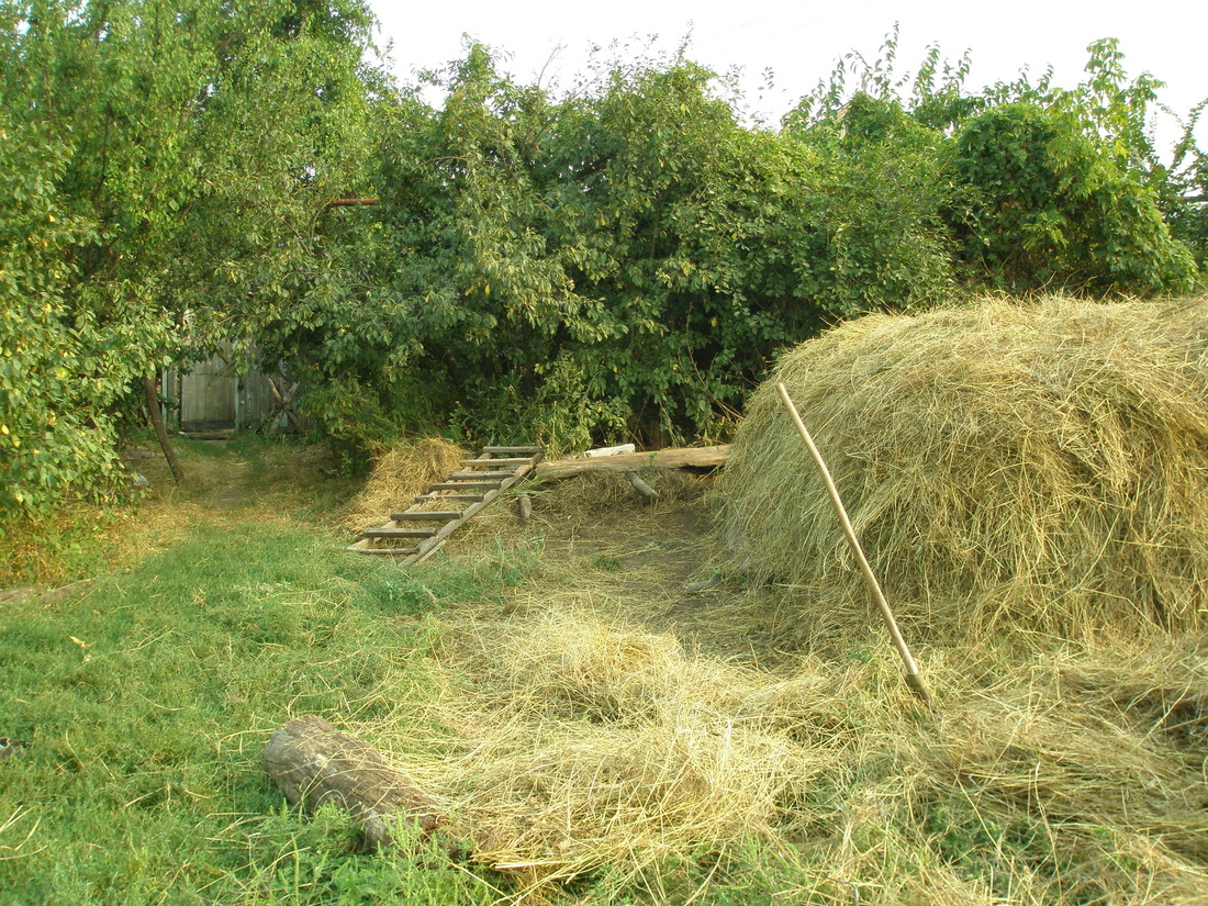 Стожари