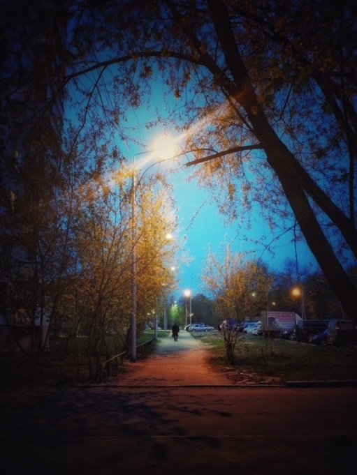 Я не люблю слова твои пустые...