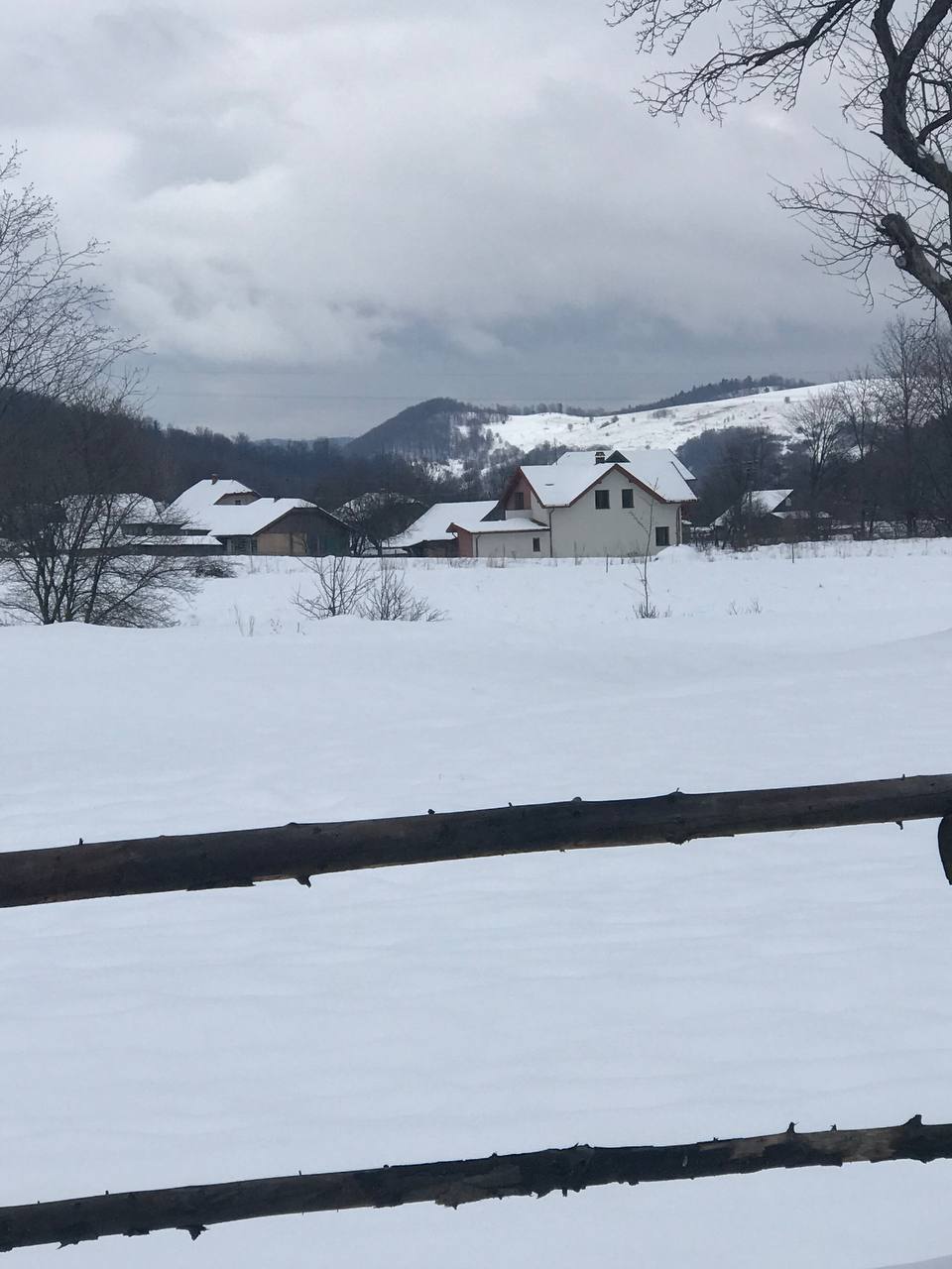ШАНС БІЛОЇ КРАЛІ
