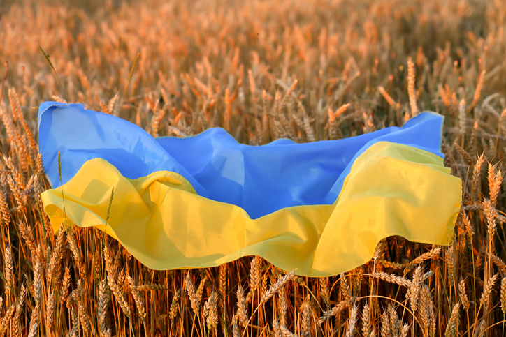 Вітер наспівує