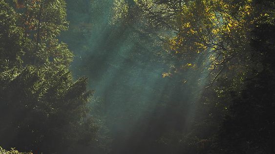 промінь
