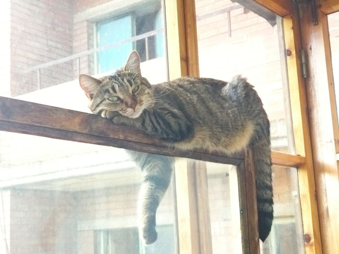 координати
