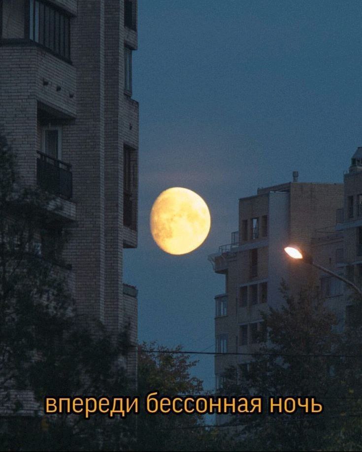 Снится cон