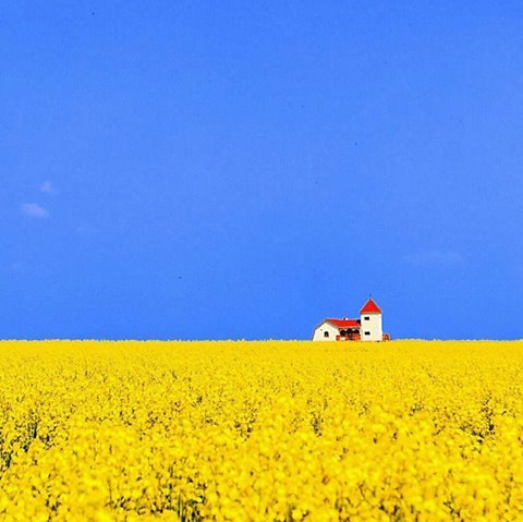 "Бережи Україну"
