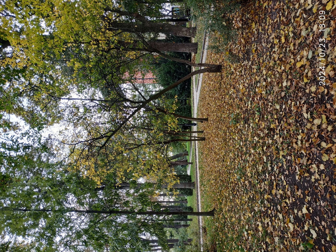 Не існує в природі постійності
