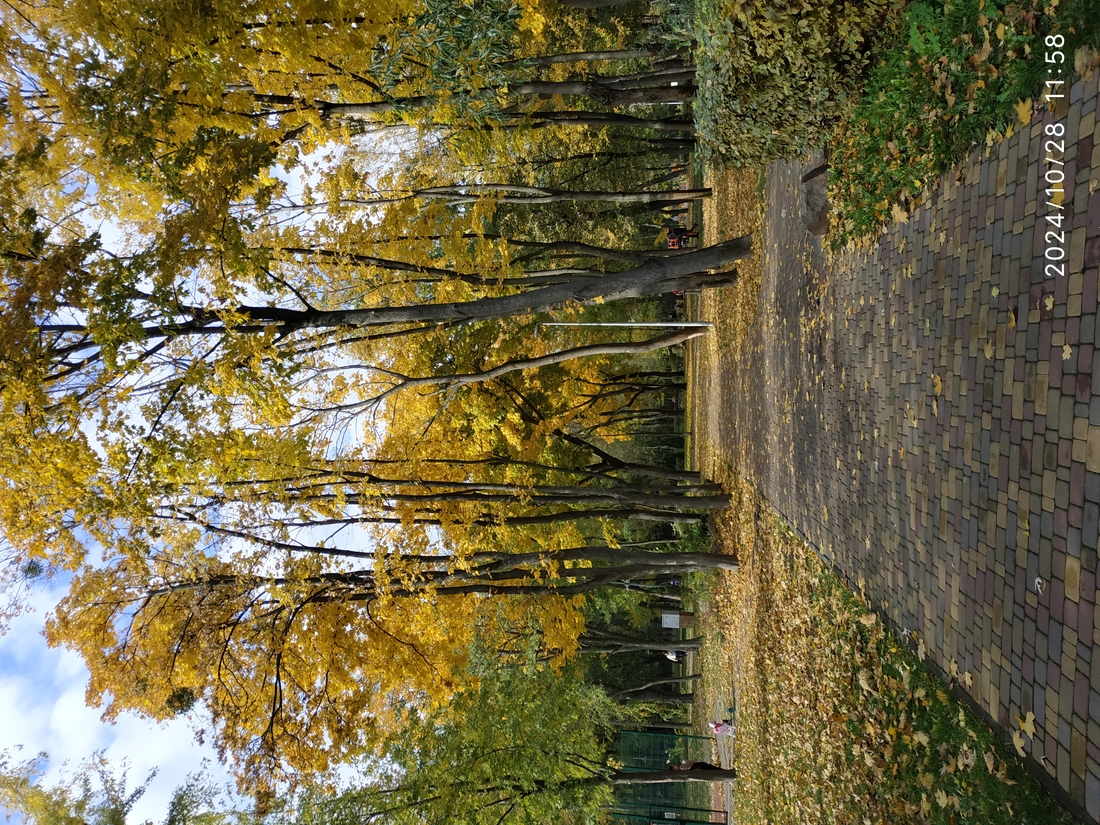 Така неперевершена