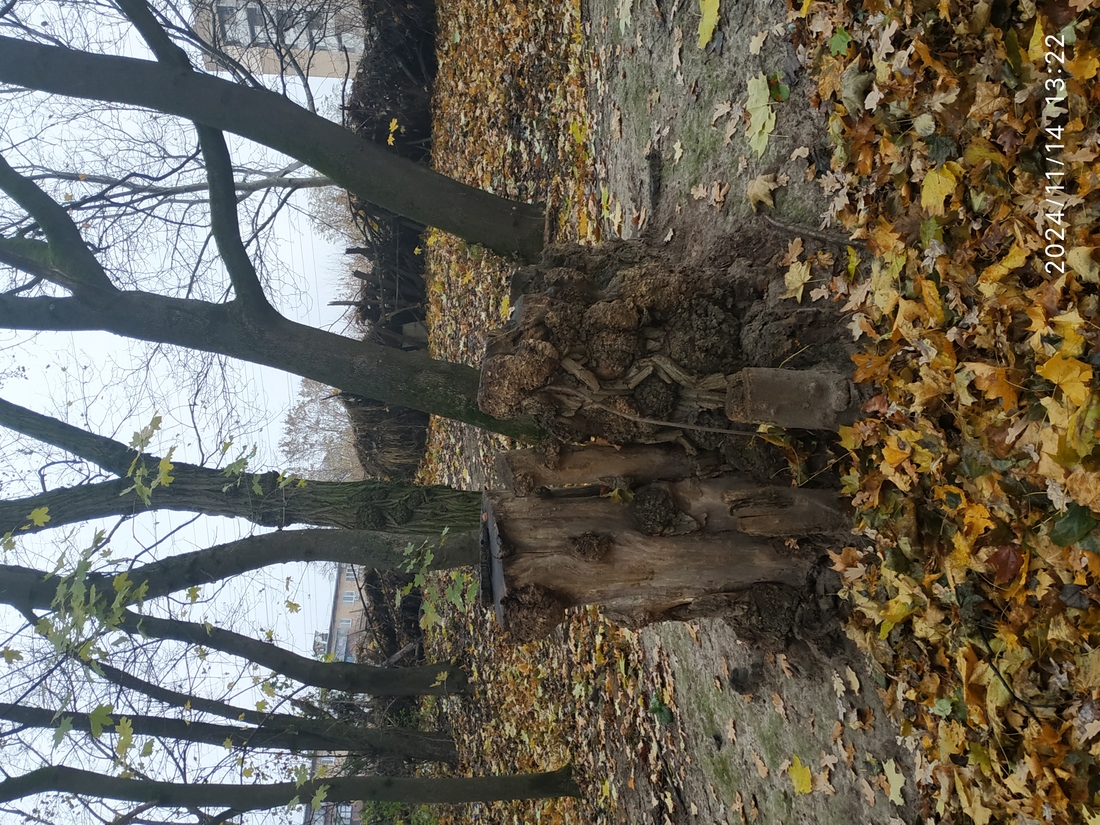Іде невпинно за водою час