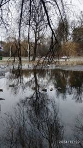 Допоки ще не смеркло