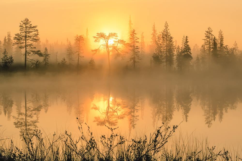 Осінь речей