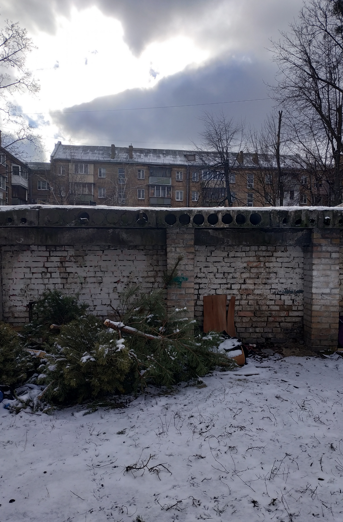 Зелені красуні