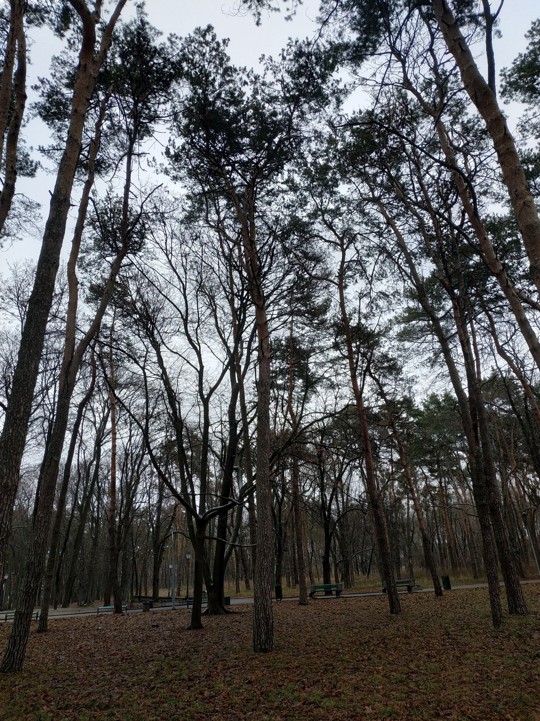Весняний дощ і перше квітня