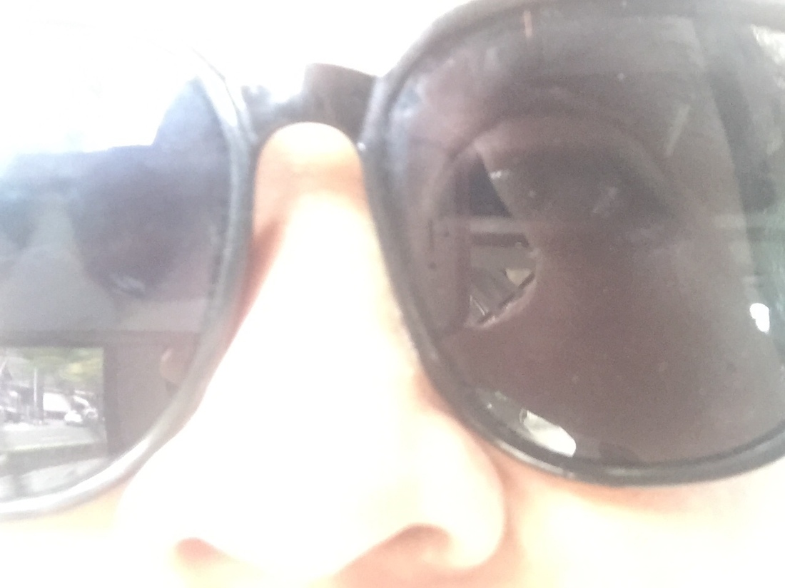 Do They See What I See?