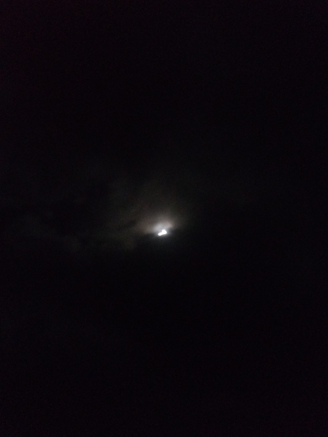 БЕС В НОЧНОМ ЛЕСУ