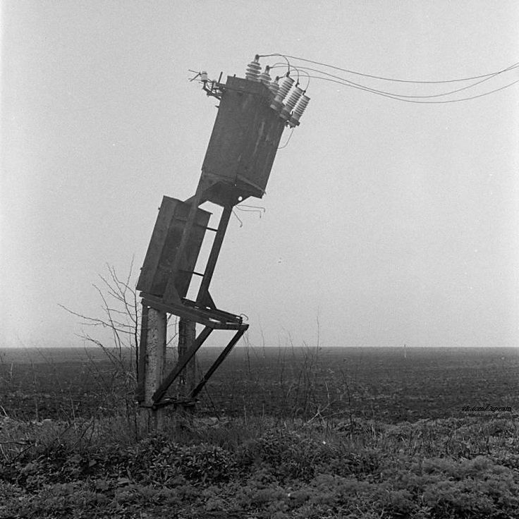 Викопна дивовижа.