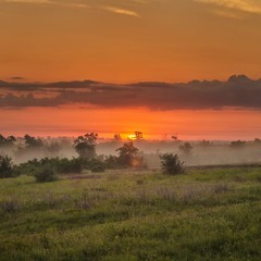 Люблю я летние рассветы