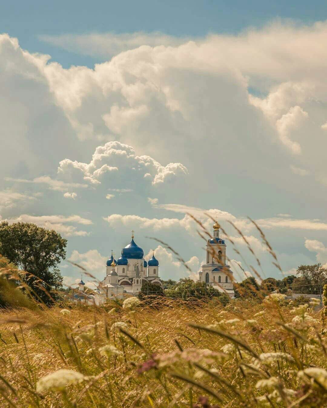 Вітер долі