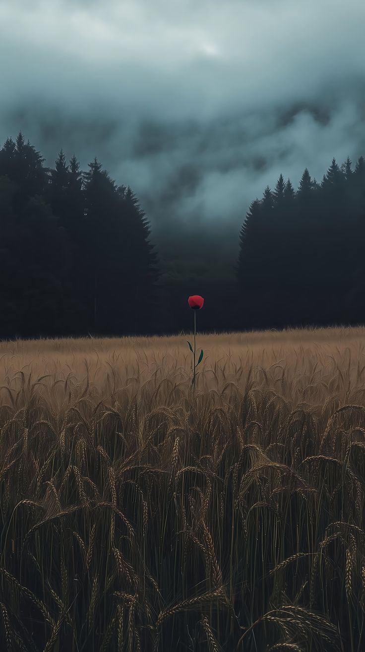 Життя