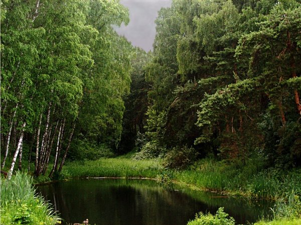 Летняя буря на рассвете