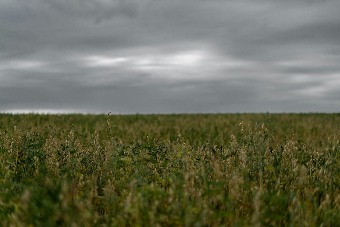 Я посмотрел на кирпич, 