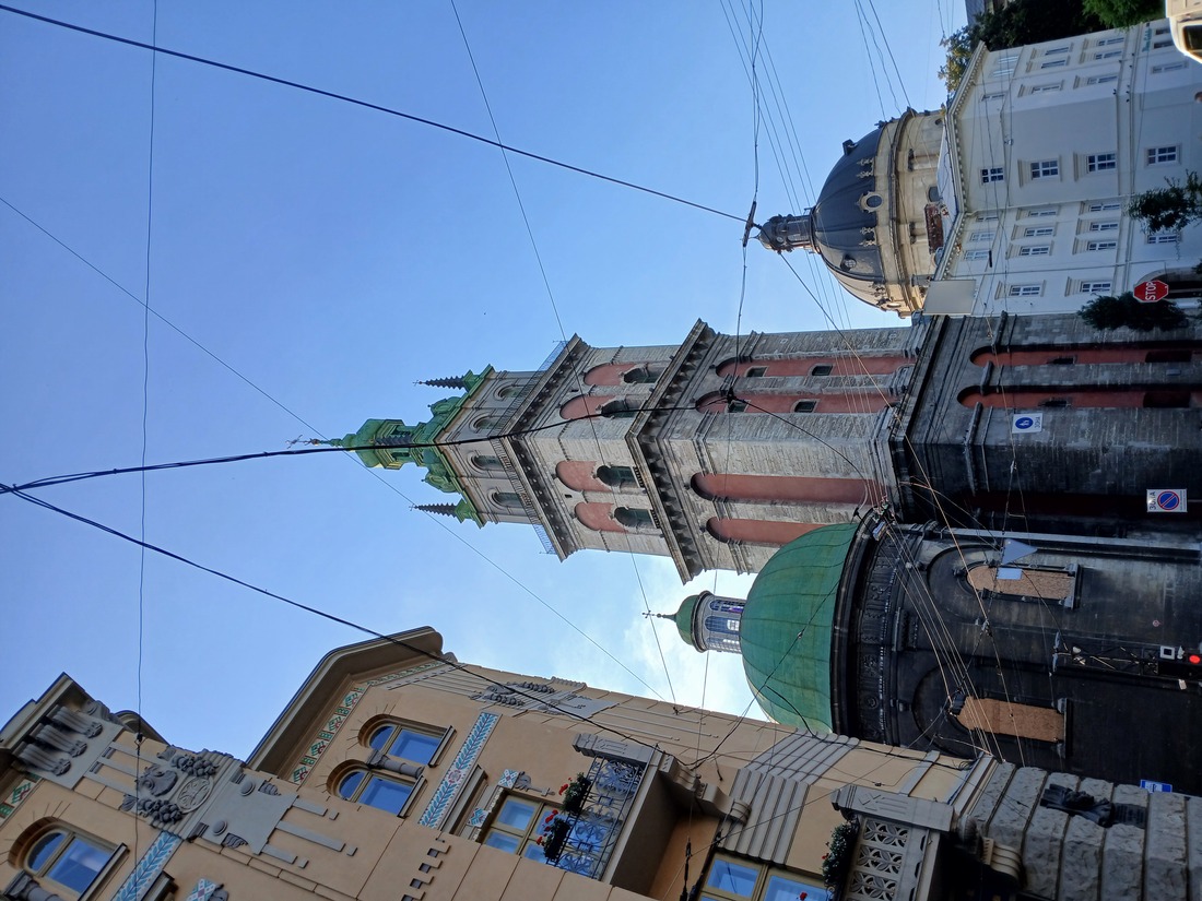 Вотчина Короля Данила