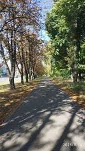 Справа літо, зліва осінь