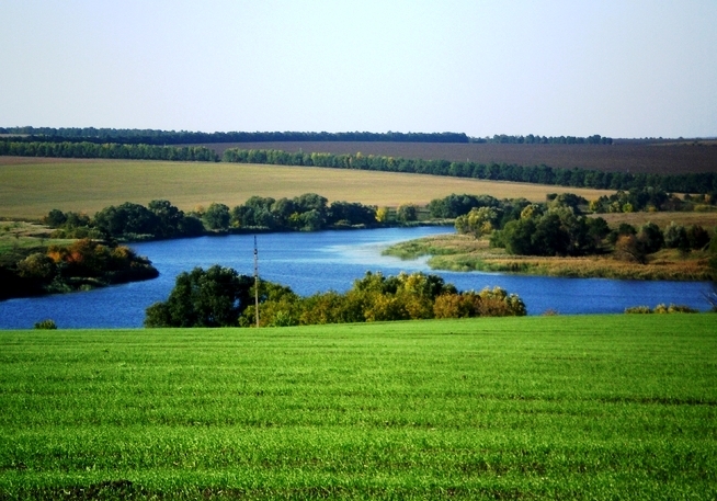 СИНЮХА