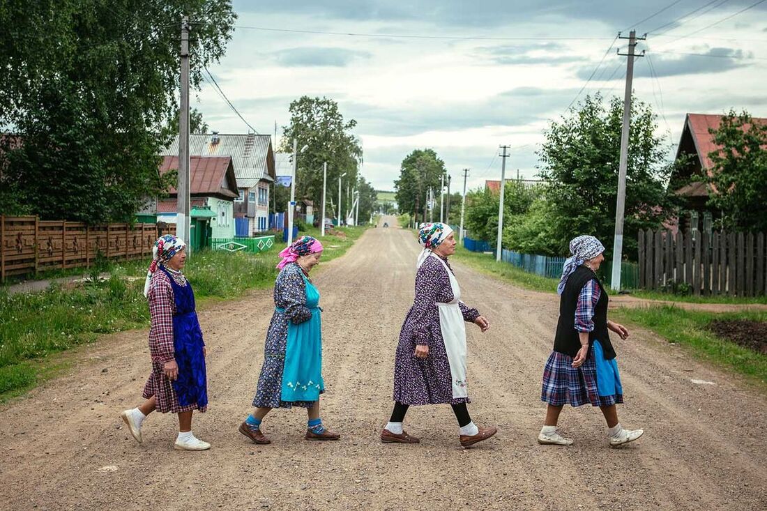 Abbey Road в кущах